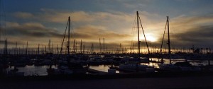 ventura boats marina